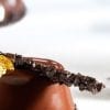Шоколадные хлопья тёмные большие Callebaut Шоколадные хлопья тёмные большие Callebaut