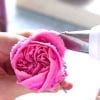 Кондитерская насадка лепесток розы изогнутый №120